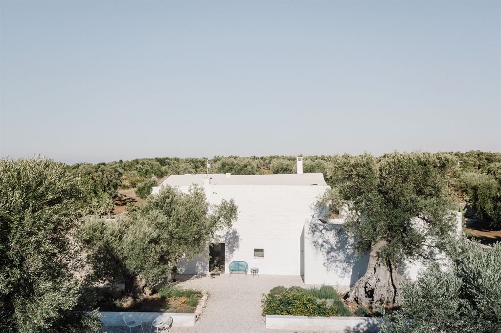 DJI_0202.jpg