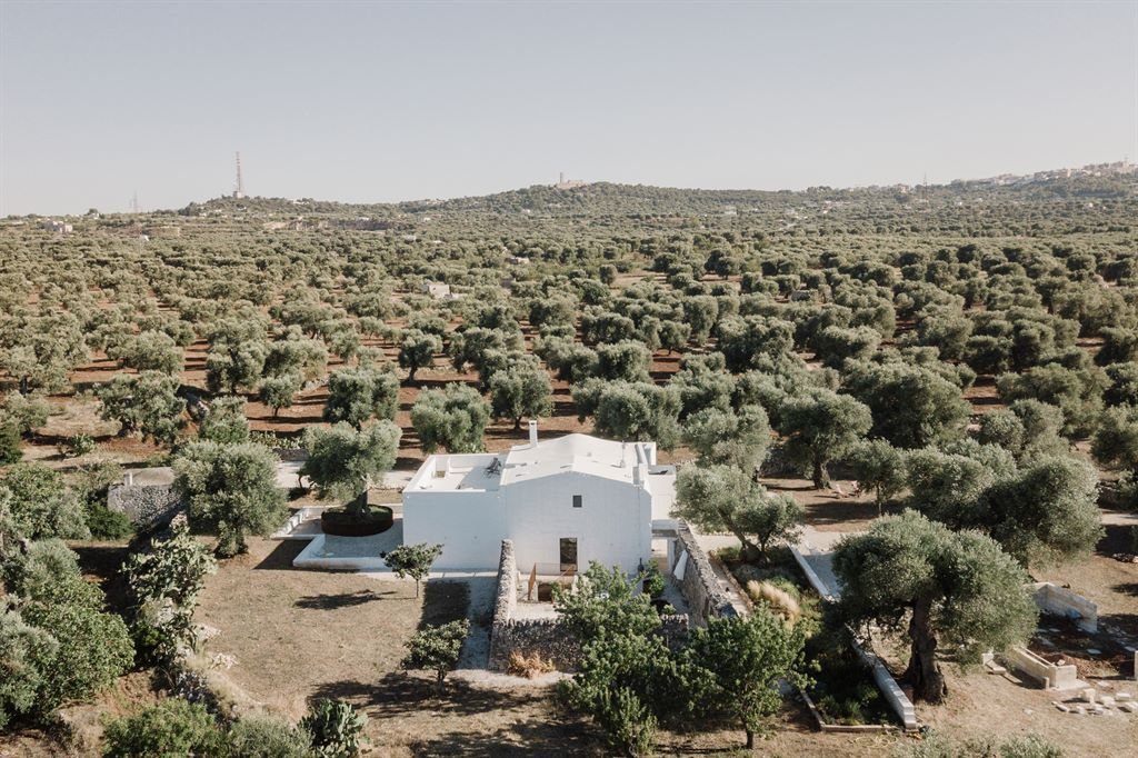 DJI_0208.jpg