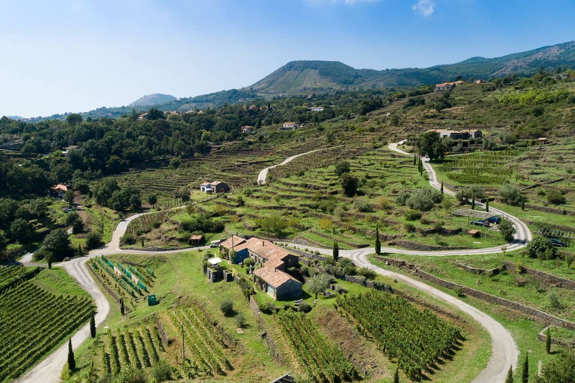 Good-Trips_Monaci_02Winery.jpg
