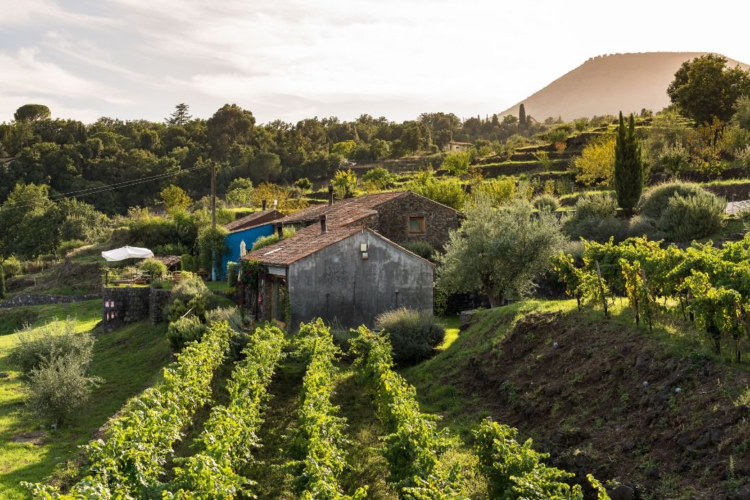 Good-Trips_Monaci_17WineResort.jpg