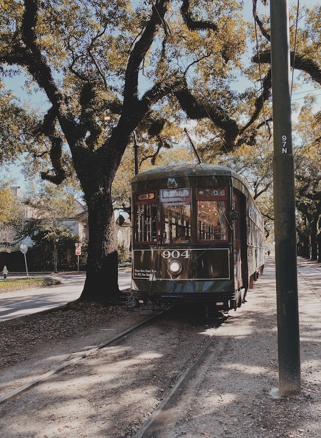 st-charles-st-car_new-orleans_chelsea-audibert.jpg