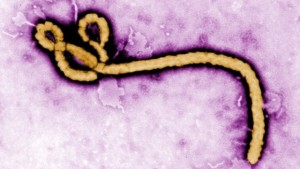 How-to-Identify-Ebola