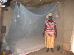 woman__mosquito_net_2006Jan_Large