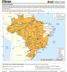 brazil-yellow-fever-lowres