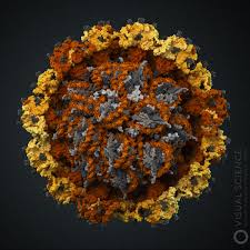 L'HPV da campeggio RADIATORE a convezione 1,7kw Incl TUBO 1,5m con backup di accensione 